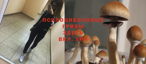 кокаин Осташков