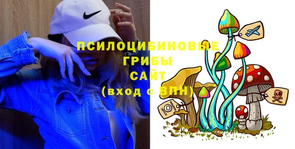 а пвп мука Осинники