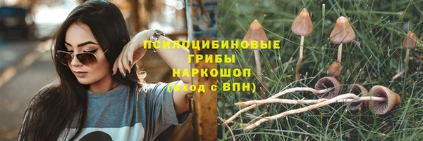 бутират Нягань