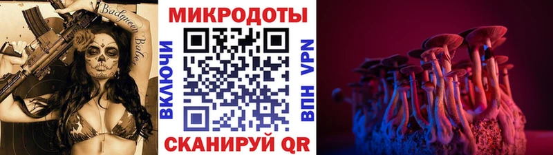 где можно купить   Ковдор  Галлюциногенные грибы Psilocybine cubensis 